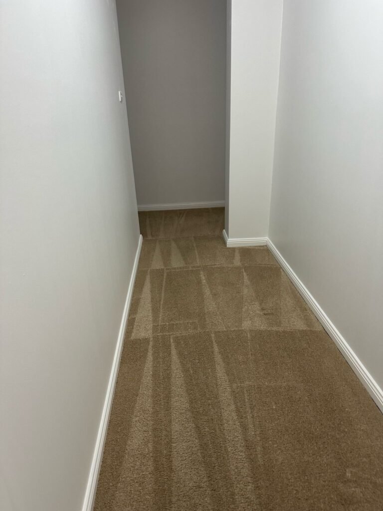 Full Internal Paint (5)