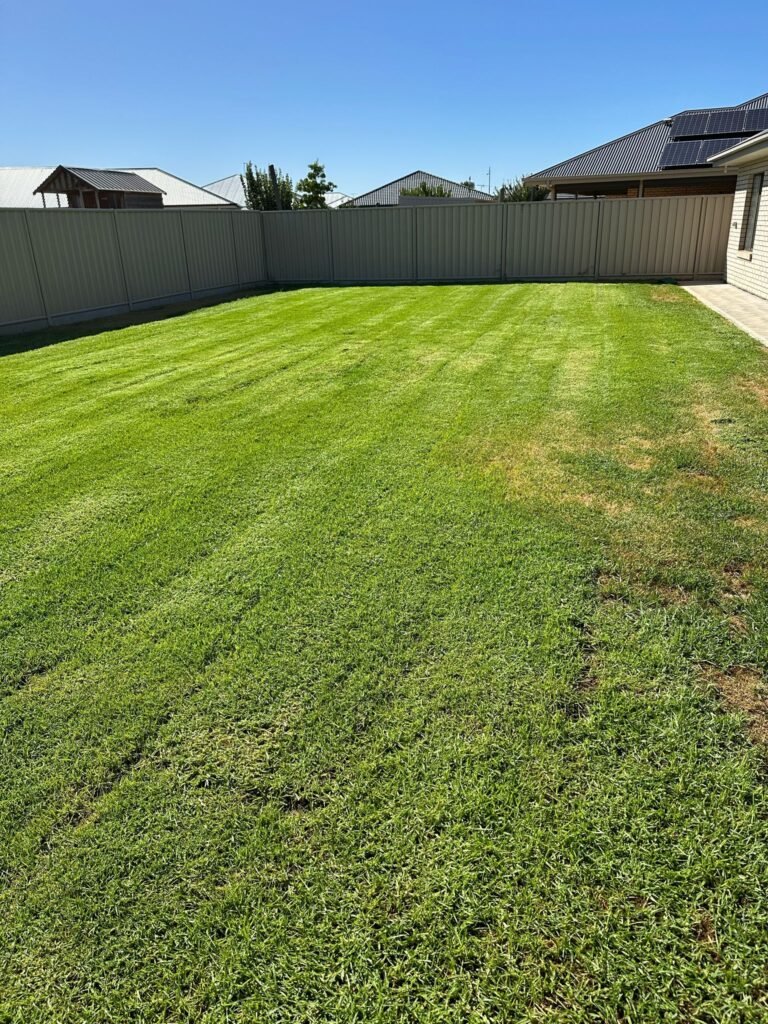 Lawns Gardens Trees (3)