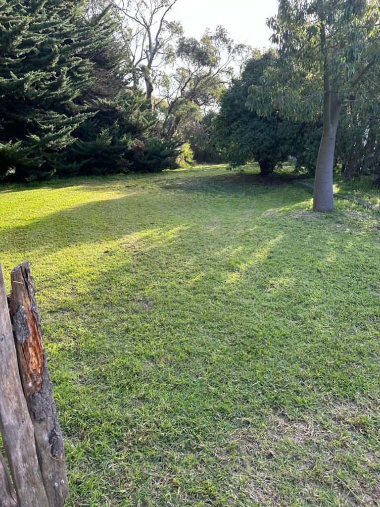 Lawns Gardens Trees (4)