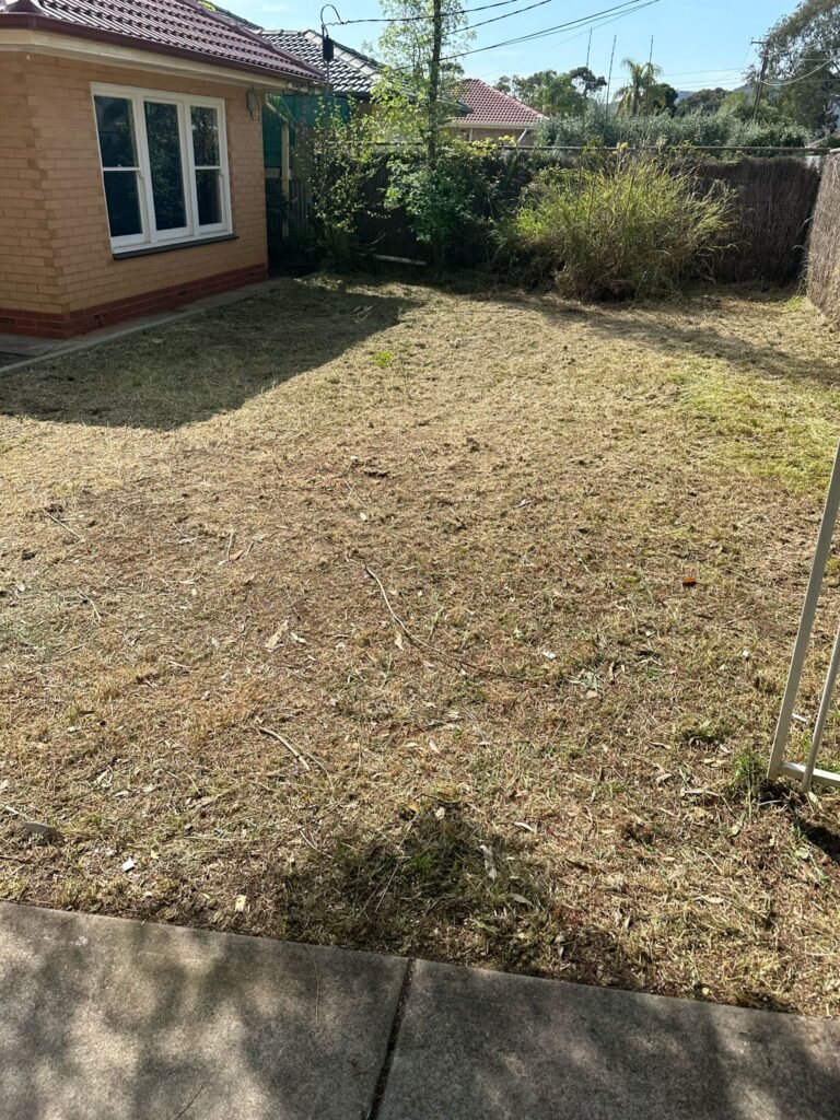 Rental Ressurection (4)