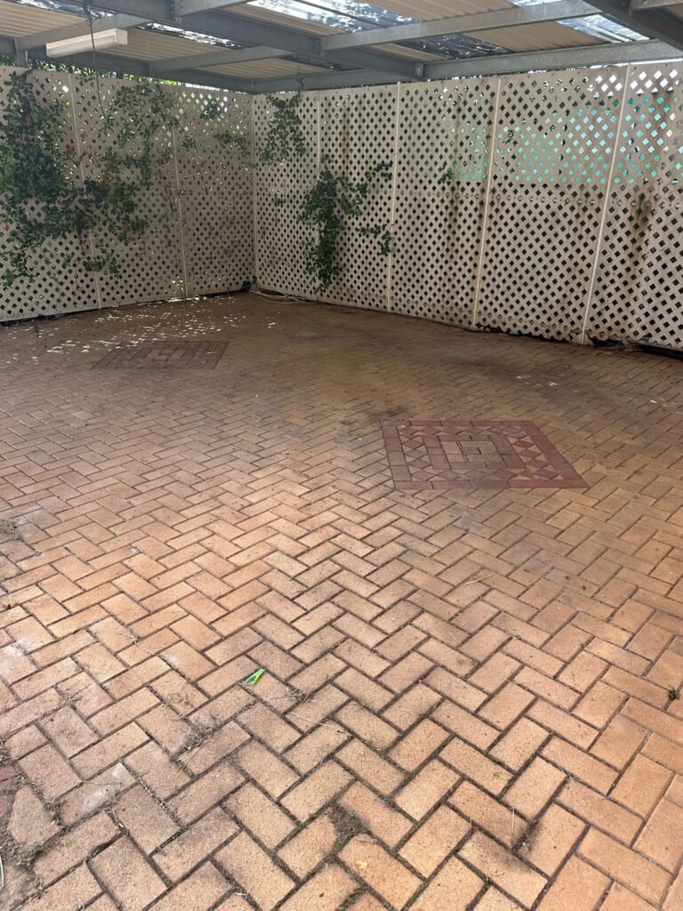 Rental Ressurection (5)