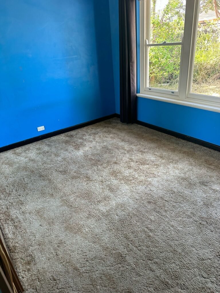 Rental Ressurection (8)